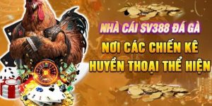 Hướng Dẫn Đá Gà SV388